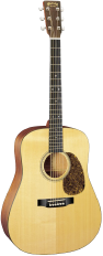 Martin D-16GT