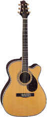 Greg Bennett Guitars OM-8CE